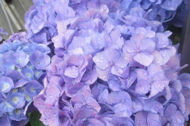 ファイル 3114-2.jpg