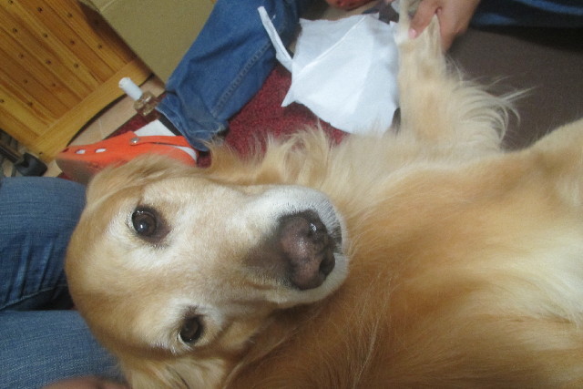 ファイル 3114-5.jpg