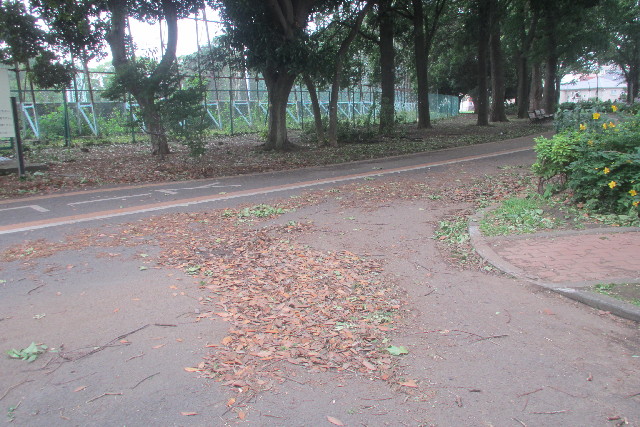 ファイル 3115-1.jpg