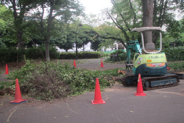 ファイル 3115-5.jpg