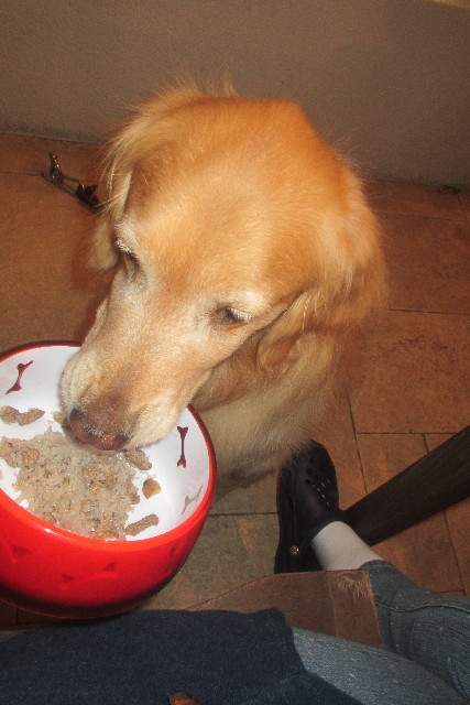 ファイル 3116-2.jpg