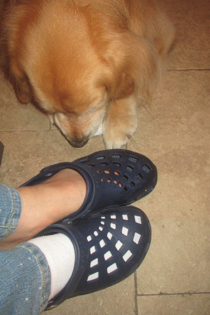 ファイル 3116-5.jpg