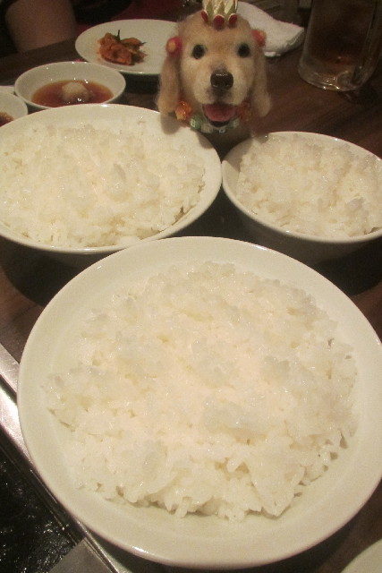 ファイル 3119-2.jpg