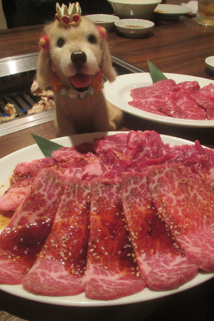 ファイル 3119-3.jpg