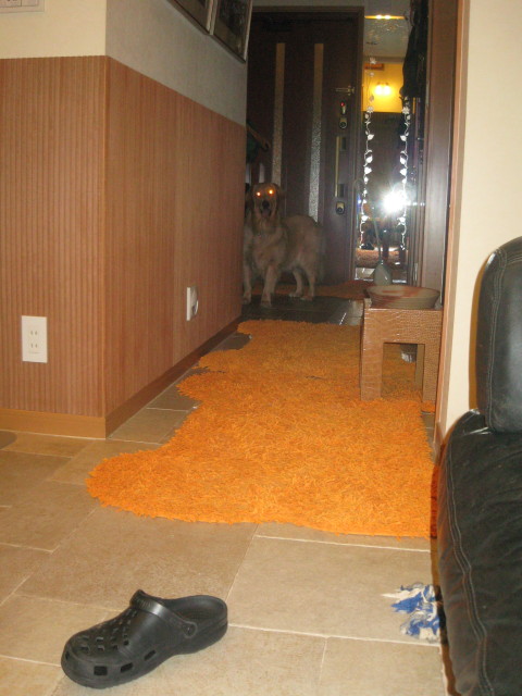 ファイル 312-1.jpg