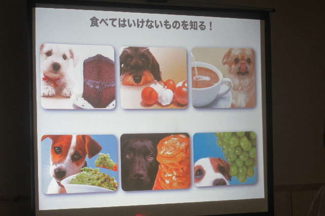 ファイル 3125-1.jpg