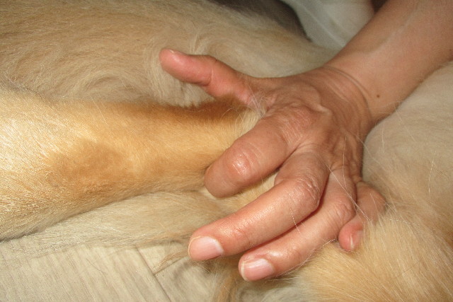 ファイル 3132-5.jpg