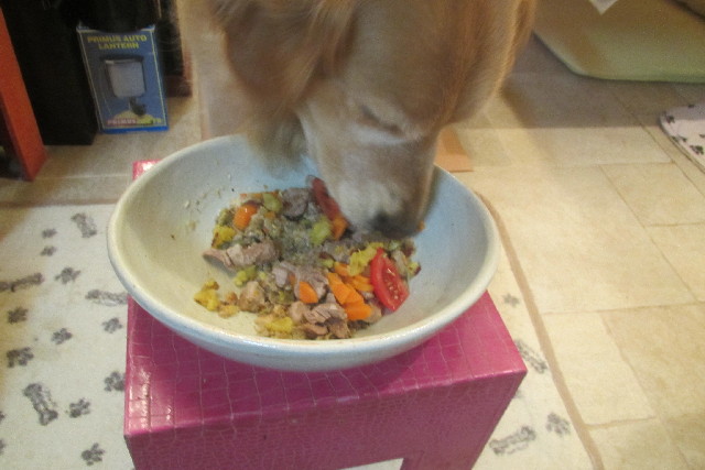 ファイル 3133-3.jpg