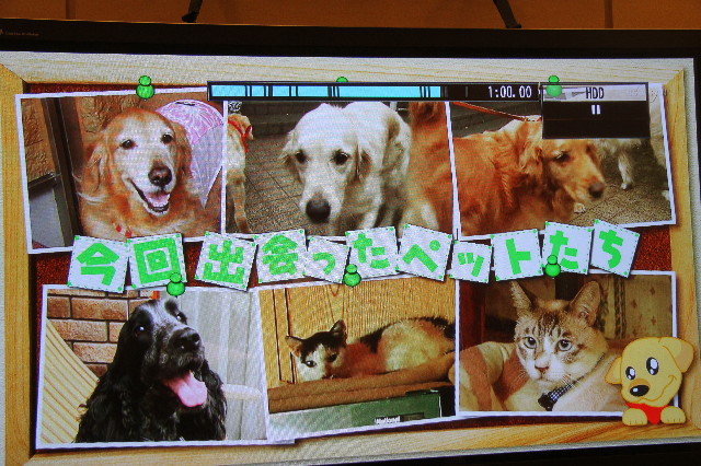 ファイル 3134-5.jpg