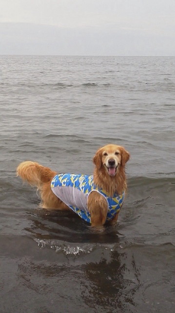 ファイル 3135-2.jpg