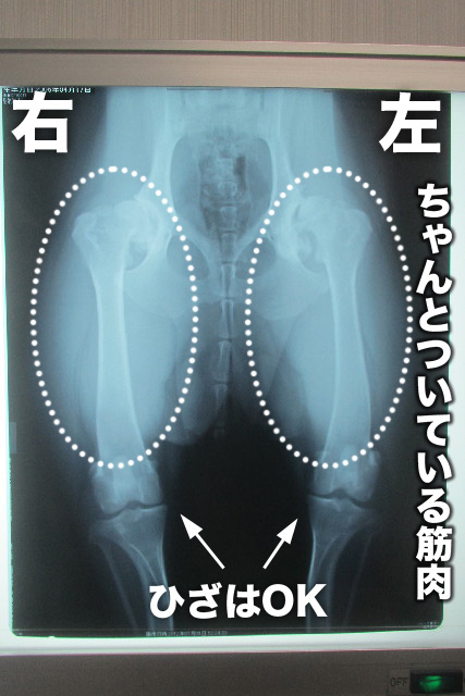 ファイル 3137-1.jpg