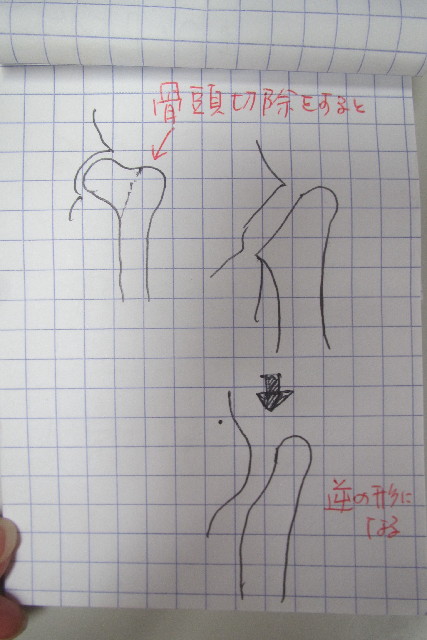 ファイル 3137-5.jpg