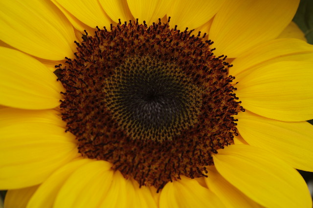 ファイル 3138-4.jpg