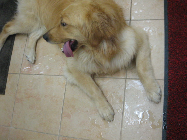 ファイル 314-3.jpg