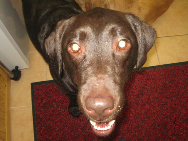 ファイル 314-4.jpg