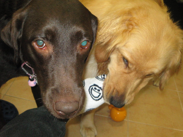 ファイル 314-5.jpg