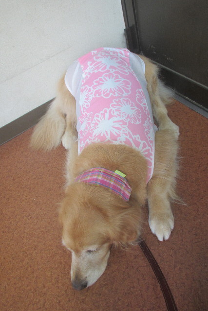 ファイル 3140-5.jpg