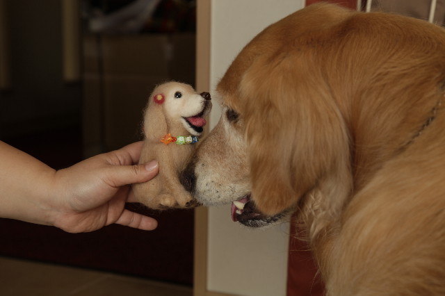 ファイル 3141-1.jpg