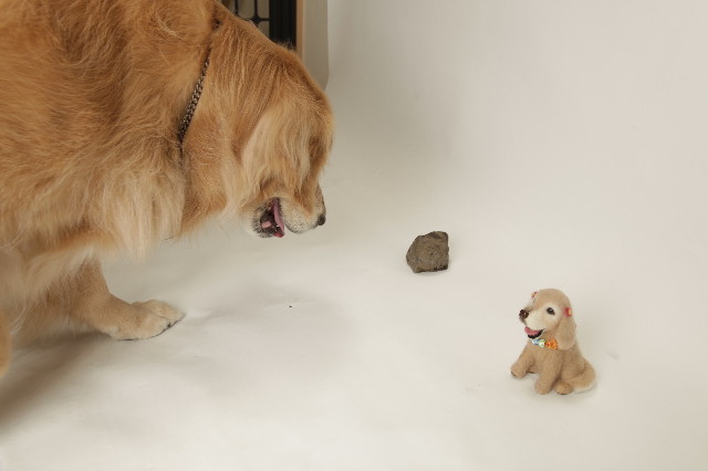 ファイル 3141-2.jpg