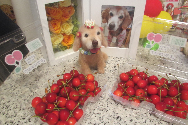 ファイル 3142-2.jpg