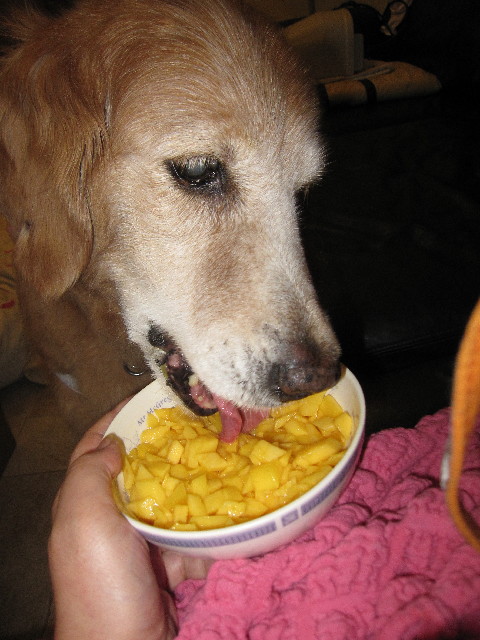 ファイル 3142-3.jpg