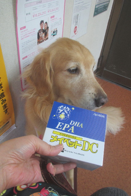 ファイル 3143-3.jpg