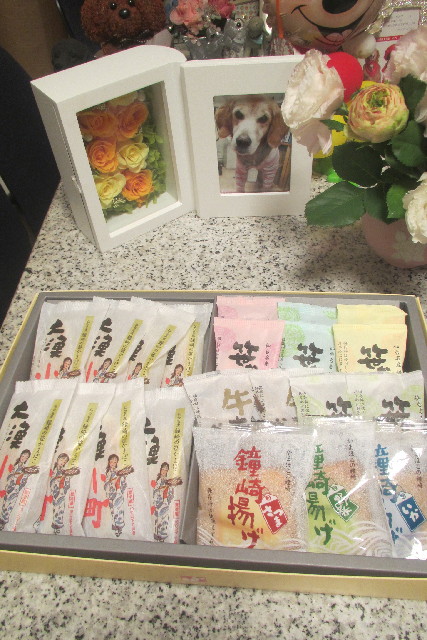 ファイル 3145-4.jpg