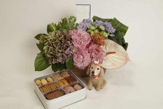 ファイル 3146-1.jpg