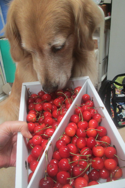 ファイル 3146-3.jpg