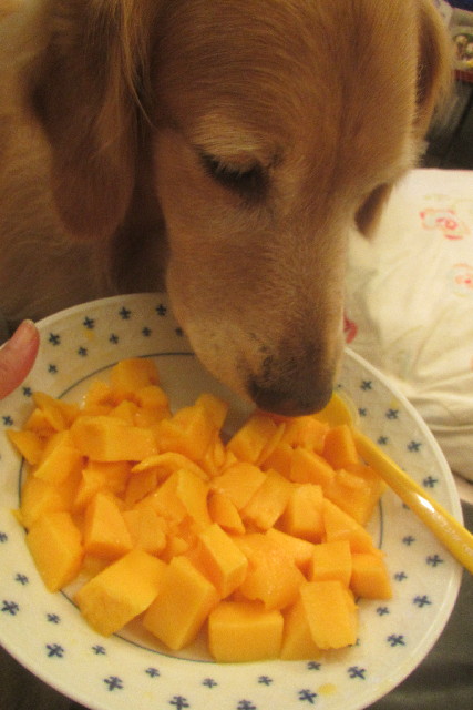 ファイル 3146-4.jpg