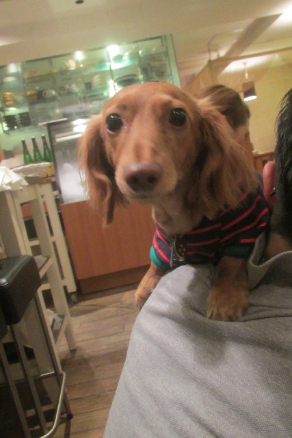 ファイル 3148-1.jpg