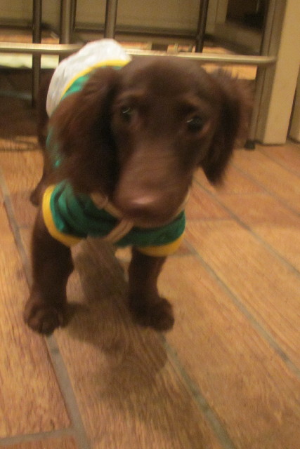 ファイル 3148-2.jpg