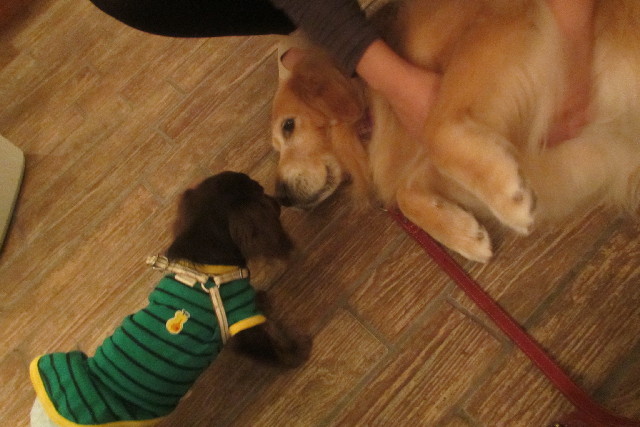 ファイル 3148-3.jpg