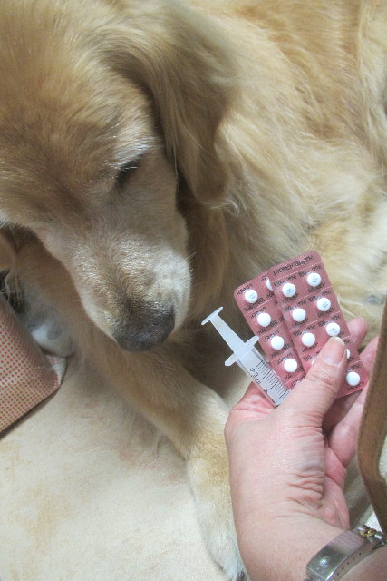 ファイル 3151-2.jpg