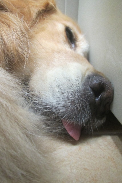 ファイル 3155-4.jpg