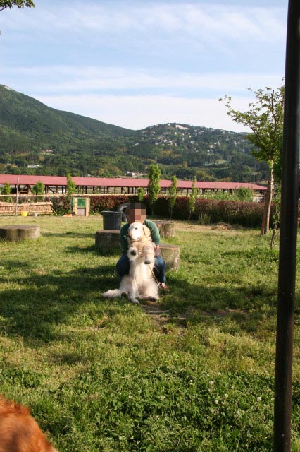 ファイル 316-3.jpg