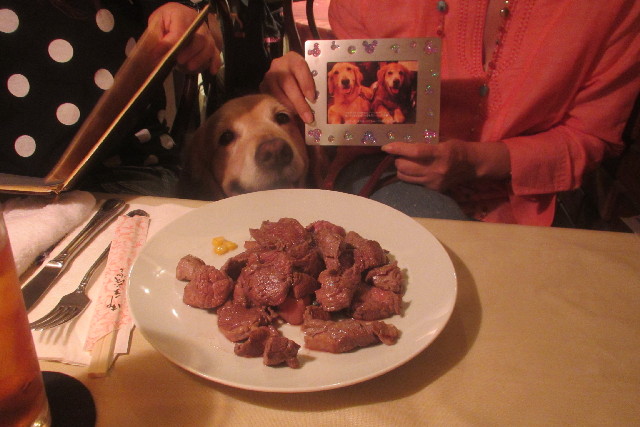 ファイル 3160-1.jpg