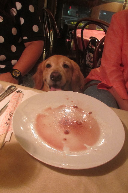 ファイル 3160-3.jpg