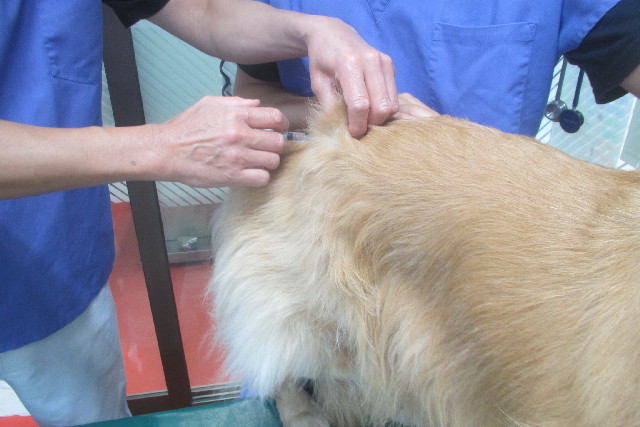 ファイル 3161-1.jpg