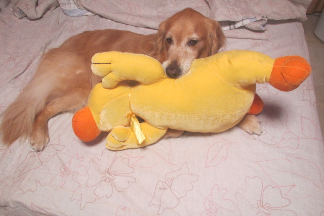 ファイル 3164-3.jpg