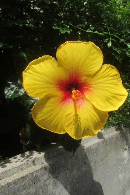 ファイル 3168-2.jpg