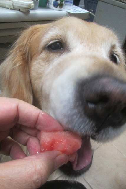 ファイル 3169-4.jpg