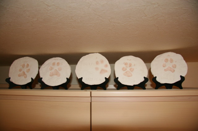 ファイル 317-5.jpg