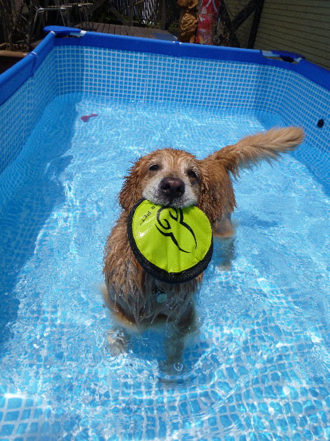 ファイル 3172-1.jpg