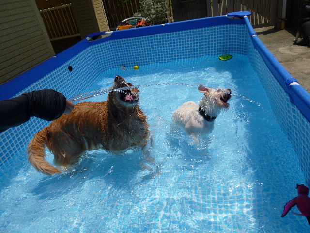 ファイル 3172-2.jpg