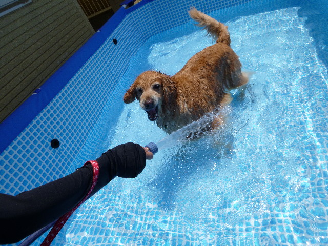 ファイル 3172-5.jpg