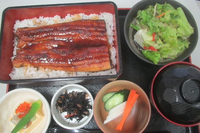 ファイル 3173-1.jpg