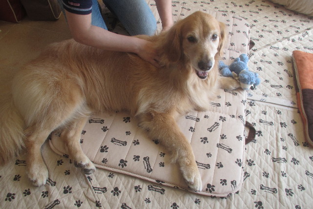 ファイル 3173-5.jpg