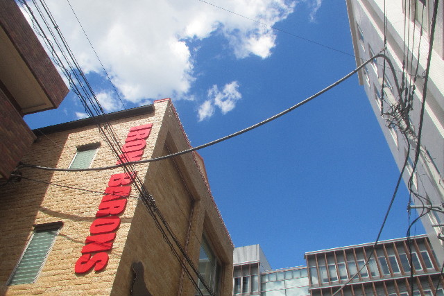 ファイル 3179-1.jpg