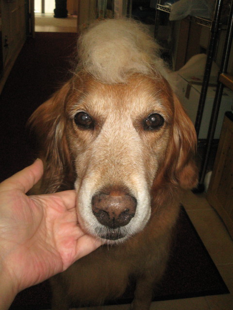 ファイル 318-3.jpg